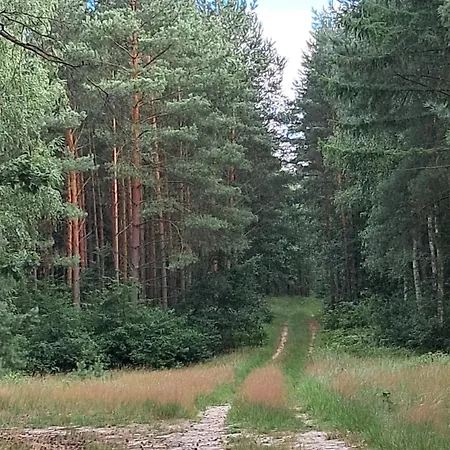 Domek Steklno Дом отдыха