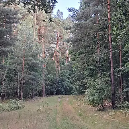 Domek Steklno * Steklno