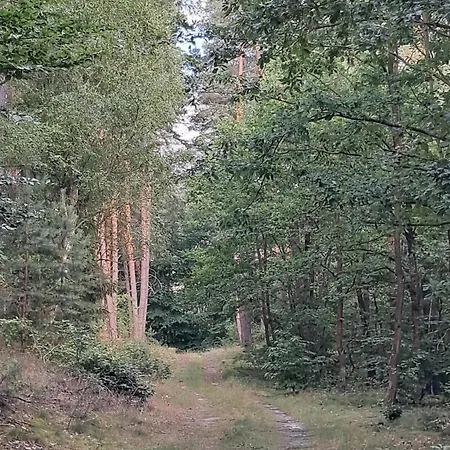 Holiday home Domek Steklno *