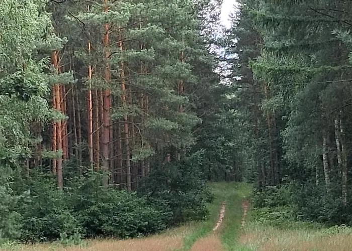 Domek Steklno بيت للعطل