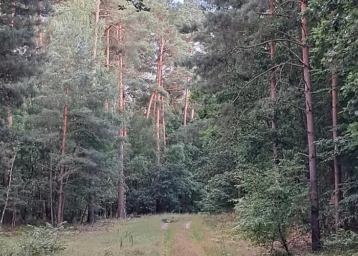 Domek Steklno * Steklno