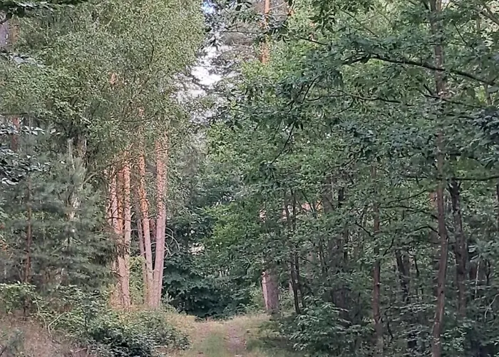 بيت للعطل Domek Steklno *